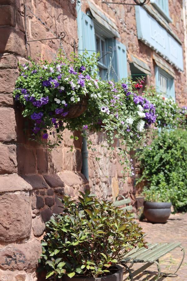 The Lamb Inn Crediton Exterior photo